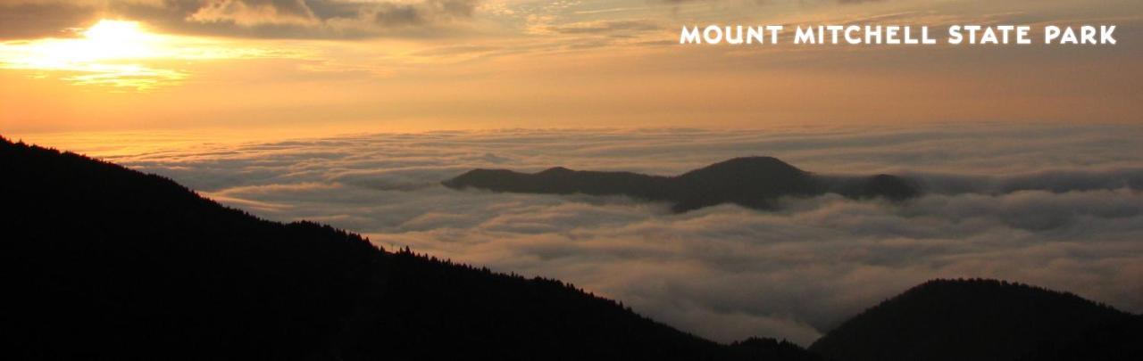Treetops Cabin Easy To Asheville With Fast Wifi And Great View Swiss Exterior foto