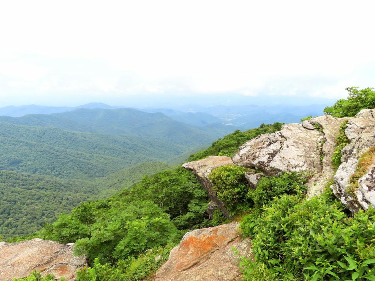 Treetops Cabin Easy To Asheville With Fast Wifi And Great View Swiss Exterior foto