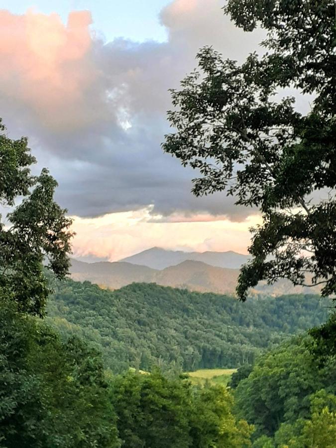 Treetops Cabin Easy To Asheville With Fast Wifi And Great View Swiss Exterior foto