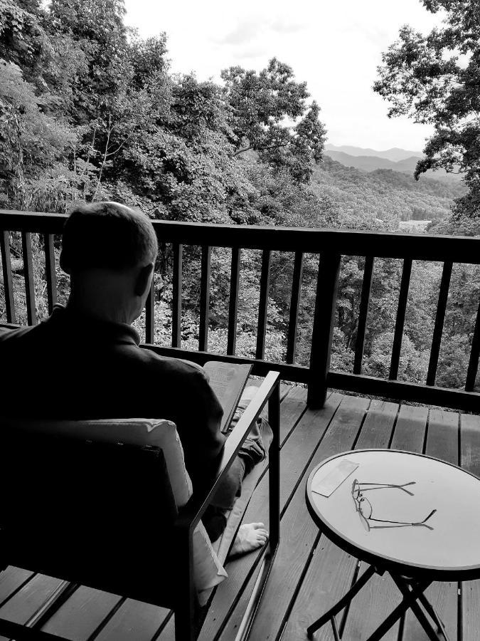 Treetops Cabin Easy To Asheville With Fast Wifi And Great View Swiss Exterior foto